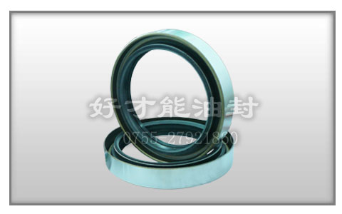 外鐵殼骨架油封