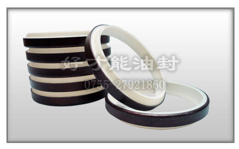 PTFE 鐵殼防塵圈