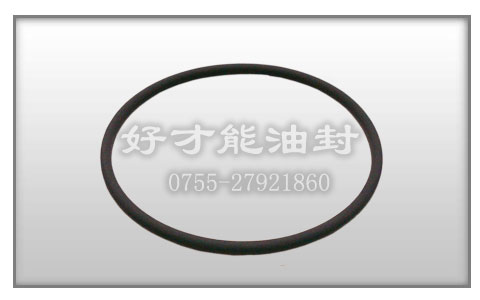 丁氫膠O圈
